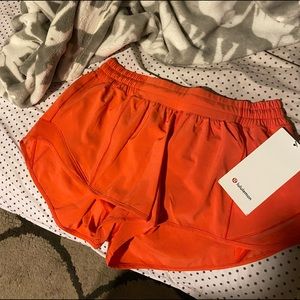 BRAND NEW hotty hot shorts